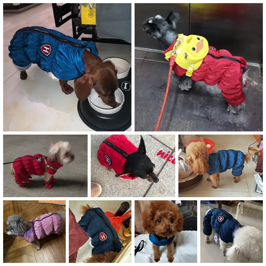 Zipper Snow Unisex Dog Waterpr - Winter Clothing Baby recension och pris