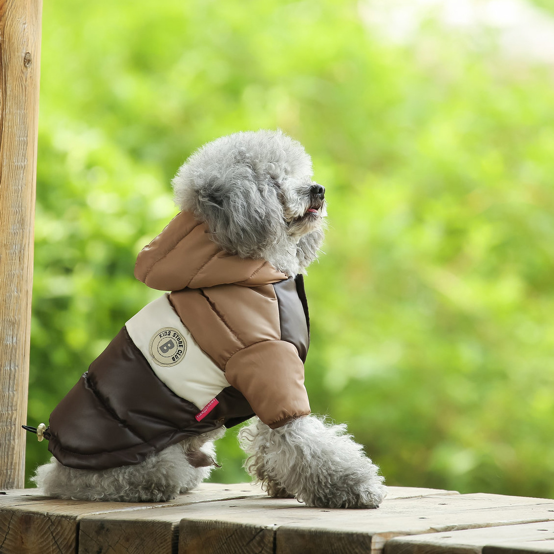 Pet Vest Pet Supplies Winter C - Winter Clothing Options recension och pris