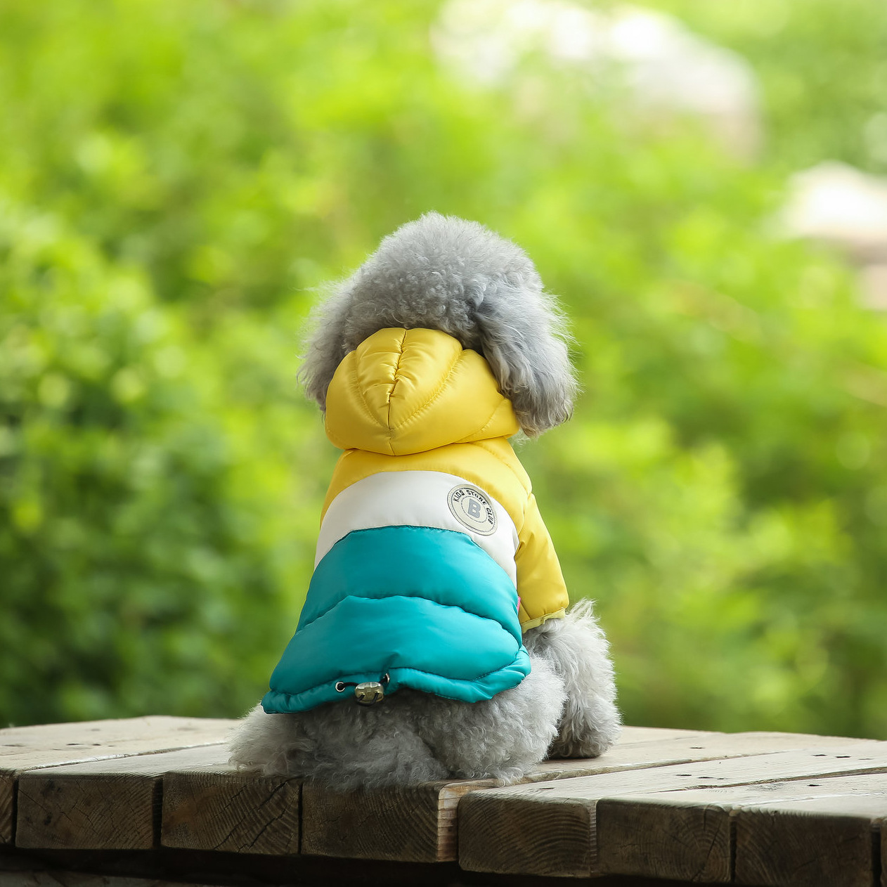 Pet Vest Pet Supplies Winter C - Winter Clothing Options recension och pris