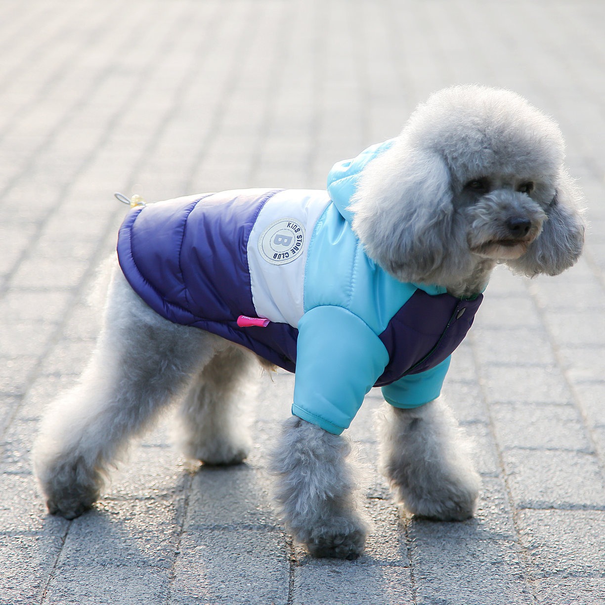 Pet Vest Pet Supplies Winter C - Winter Clothing Options recension och pris